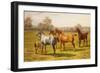 Horses and Foal in a Field-Charles Sillem Lidderdale-Framed Giclee Print