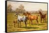 Horses and Foal in a Field-Charles Sillem Lidderdale-Framed Stretched Canvas