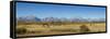 Horses and Grand Teton Mountain Range in fall, Grand Teton National Park, Wyoming-Richard & Susan Day-Framed Stretched Canvas
