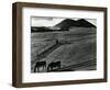 Horses and Landscape, c. 1975-Brett Weston-Framed Photographic Print