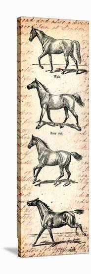 Horses and Love Letters-Piddix-Stretched Canvas