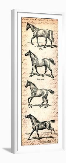 Horses and Love Letters-Piddix-Framed Premium Giclee Print