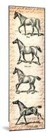 Horses and Love Letters-Piddix-Mounted Premium Giclee Print