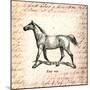 Horses and Love Letters-Piddix-Mounted Art Print