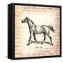 Horses and Love Letters-Piddix-Framed Stretched Canvas