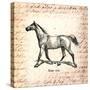 Horses and Love Letters-Piddix-Stretched Canvas