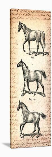 Horses and Love Letters-Piddix-Stretched Canvas