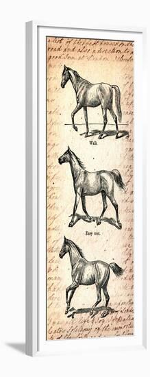 Horses and Love Letters-Piddix-Framed Art Print