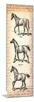 Horses and Love Letters-Piddix-Mounted Art Print