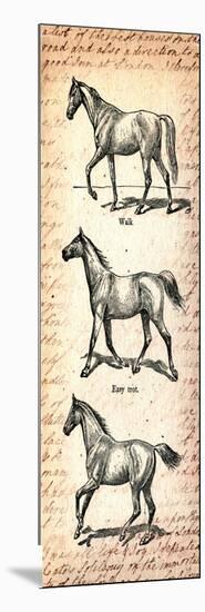 Horses and Love Letters-Piddix-Mounted Art Print