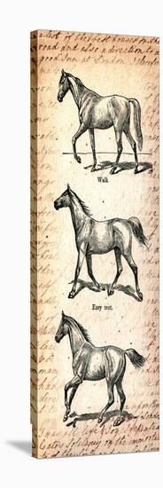 Horses and Love Letters-Piddix-Stretched Canvas