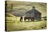 Horses and Old Barn, Olema, California, USA-Jaynes Gallery-Stretched Canvas