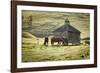 Horses and Old Barn, Olema, California, USA-Jaynes Gallery-Framed Photographic Print