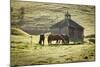 Horses and Old Barn, Olema, California, USA-Jaynes Gallery-Mounted Photographic Print