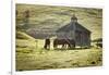 Horses and Old Barn, Olema, California, USA-Jaynes Gallery-Framed Photographic Print