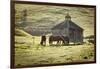 Horses and Old Barn, Olema, California, USA-Jaynes Gallery-Framed Photographic Print