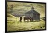 Horses and Old Barn, Olema, California, USA-Jaynes Gallery-Framed Photographic Print