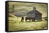 Horses and Old Barn, Olema, California, USA-Jaynes Gallery-Framed Stretched Canvas