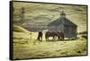 Horses and Old Barn, Olema, California, USA-Jaynes Gallery-Framed Stretched Canvas