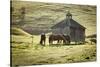 Horses and Old Barn, Olema, California, USA-Jaynes Gallery-Stretched Canvas