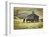 Horses and Old Barn, Olema, California, USA-Jaynes Gallery-Framed Photographic Print