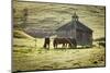 Horses and Old Barn, Olema, California, USA-Jaynes Gallery-Mounted Photographic Print