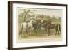 Horses and Ponies-null-Framed Giclee Print