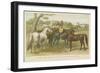 Horses and Ponies-null-Framed Giclee Print