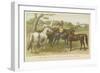 Horses and Ponies-null-Framed Giclee Print