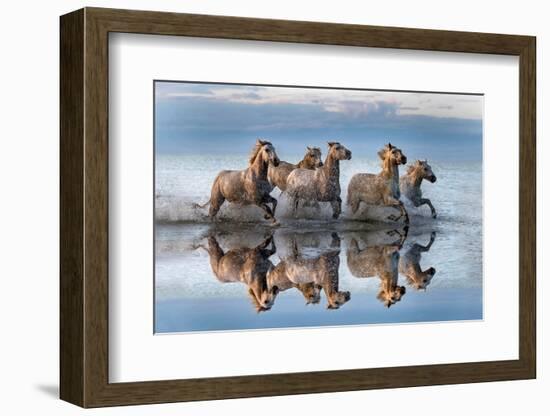 Horses and reflection-Xavier Ortega-Framed Photographic Print