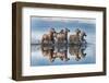 Horses and reflection-Xavier Ortega-Framed Photographic Print