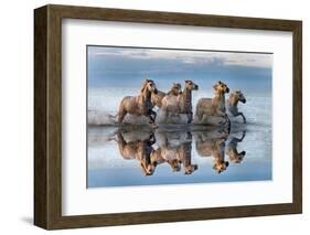 Horses and reflection-Xavier Ortega-Framed Photographic Print