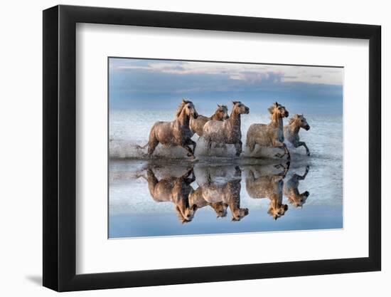 Horses and reflection-Xavier Ortega-Framed Photographic Print