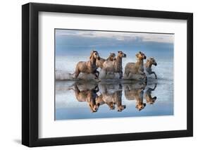 Horses and reflection-Xavier Ortega-Framed Photographic Print