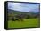 Horses and Sheep in the Barrow Valley, Near St Mullins, County Carlow, Ireland-null-Framed Stretched Canvas