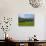 Horses and Sheep in the Barrow Valley, Near St Mullins, County Carlow, Ireland-null-Stretched Canvas displayed on a wall