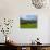 Horses and Sheep in the Barrow Valley, Near St Mullins, County Carlow, Ireland-null-Photographic Print displayed on a wall