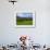 Horses and Sheep in the Barrow Valley, Near St Mullins, County Carlow, Ireland-null-Framed Photographic Print displayed on a wall