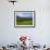 Horses and Sheep in the Barrow Valley, Near St Mullins, County Carlow, Ireland-null-Framed Photographic Print displayed on a wall