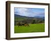 Horses and Sheep in the Barrow Valley, Near St Mullins, County Carlow, Ireland-null-Framed Photographic Print