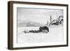 Horses and Sledge in the Klondike-null-Framed Photographic Print