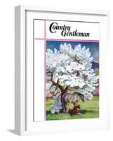 "Horses and Tree Blossoms," Country Gentleman Cover, May 1, 1940-Paul Bransom-Framed Giclee Print