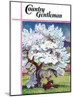 "Horses and Tree Blossoms," Country Gentleman Cover, May 1, 1940-Paul Bransom-Mounted Giclee Print