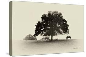 Horses and Trees I-Debra Van Swearingen-Stretched Canvas