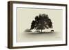 Horses and Trees I-Debra Van Swearingen-Framed Photographic Print