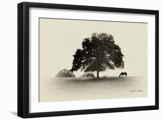 Horses and Trees I-Debra Van Swearingen-Framed Photographic Print