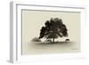 Horses and Trees I-Debra Van Swearingen-Framed Photographic Print