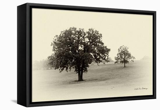 Horses and Tress II-Debra Van Swearingen-Framed Stretched Canvas