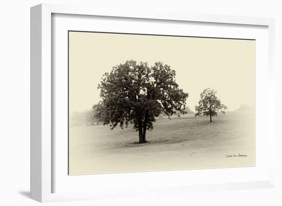 Horses and Tress II-Debra Van Swearingen-Framed Photographic Print