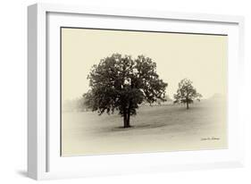 Horses and Tress II-Debra Van Swearingen-Framed Photographic Print